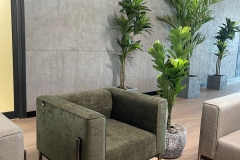 WhatsApp-Image-2023-03-17-at-16.25.41-1