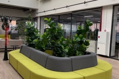 WhatsApp-Image-2023-03-17-at-16.25.46