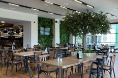 1_WhatsApp-Image-2023-03-17-at-16.01.04-1