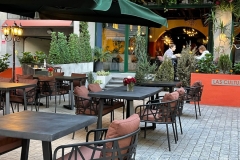 WhatsApp-Image-2023-03-17-at-16.16.46