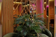 WhatsApp-Image-2023-03-17-at-16.18.40