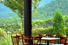 WhatsApp-Image-2023-03-21-at-15.45.49