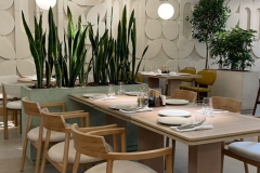 WhatsApp-Image-2024-06-12-at-16.58.42