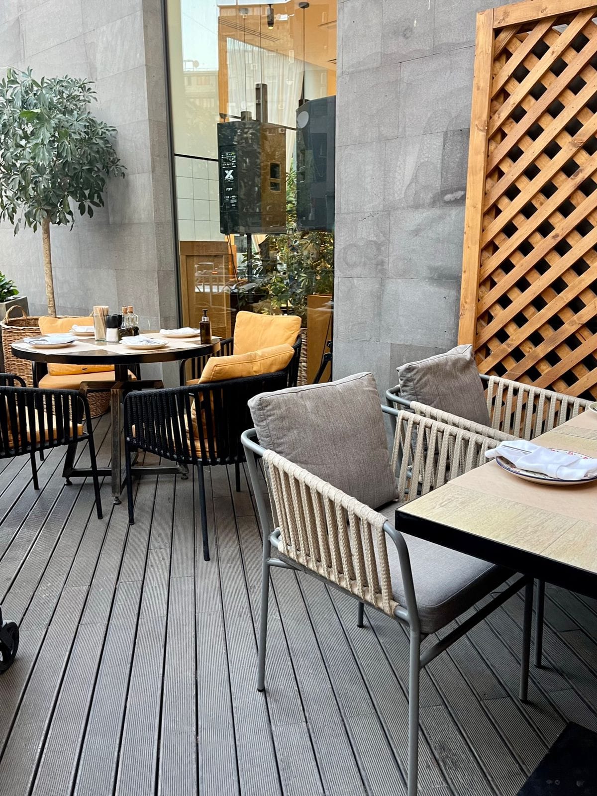 WhatsApp Image 2023-03-17 at 16.16.48 (1)