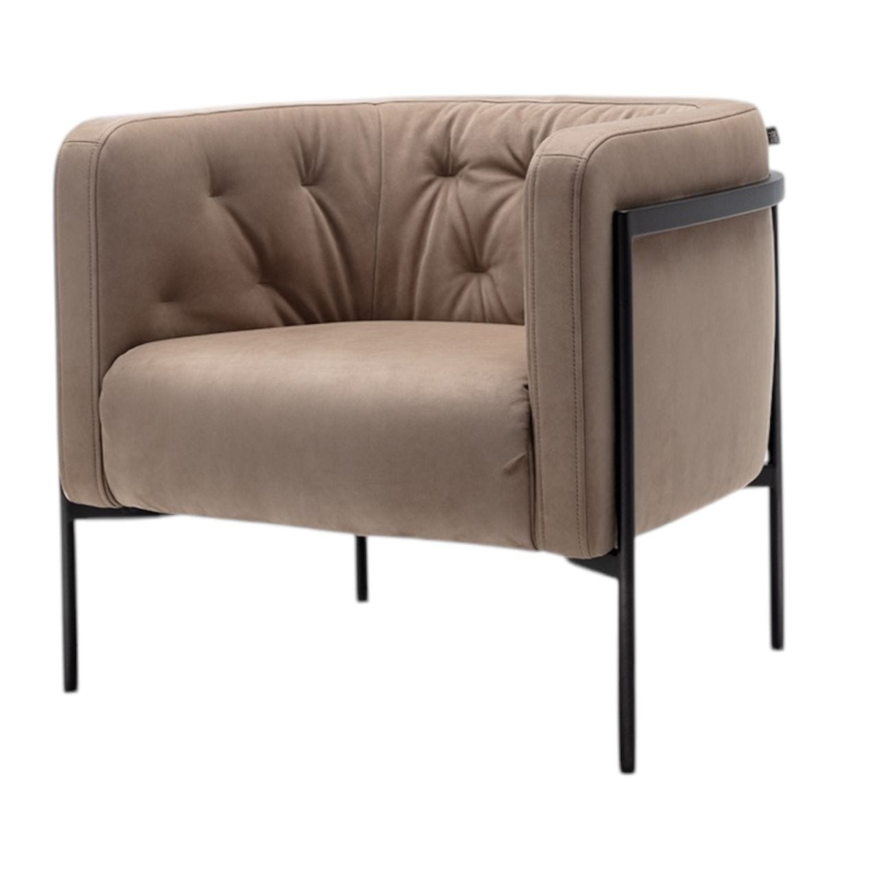 WhatsApp Image 2025-01-13 at 14.55.13